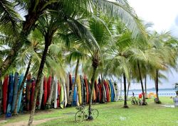 Pasir Ris Beach Park (D18), Semi-Detached #488431941